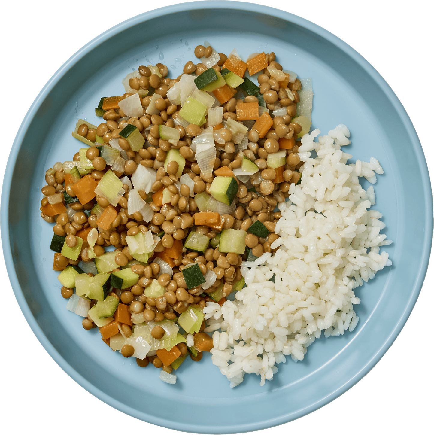 Lentejas con verduras y arroz